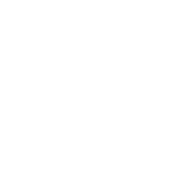 Armée Régulière