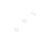 Droïdes